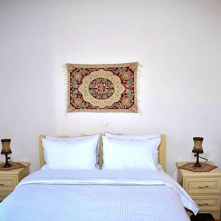 Eufrosini Guesthouse メツォヴォ エクステリア 写真