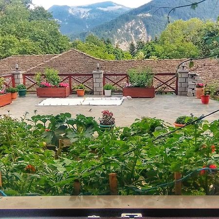 Eufrosini Guesthouse メツォヴォ エクステリア 写真