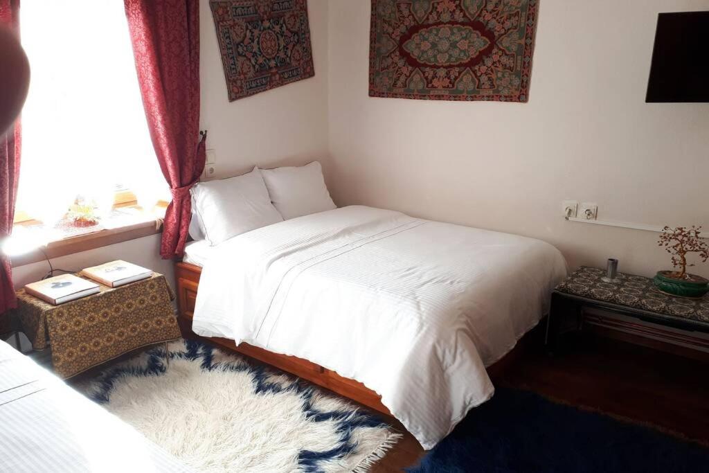 Eufrosini Guesthouse メツォヴォ エクステリア 写真