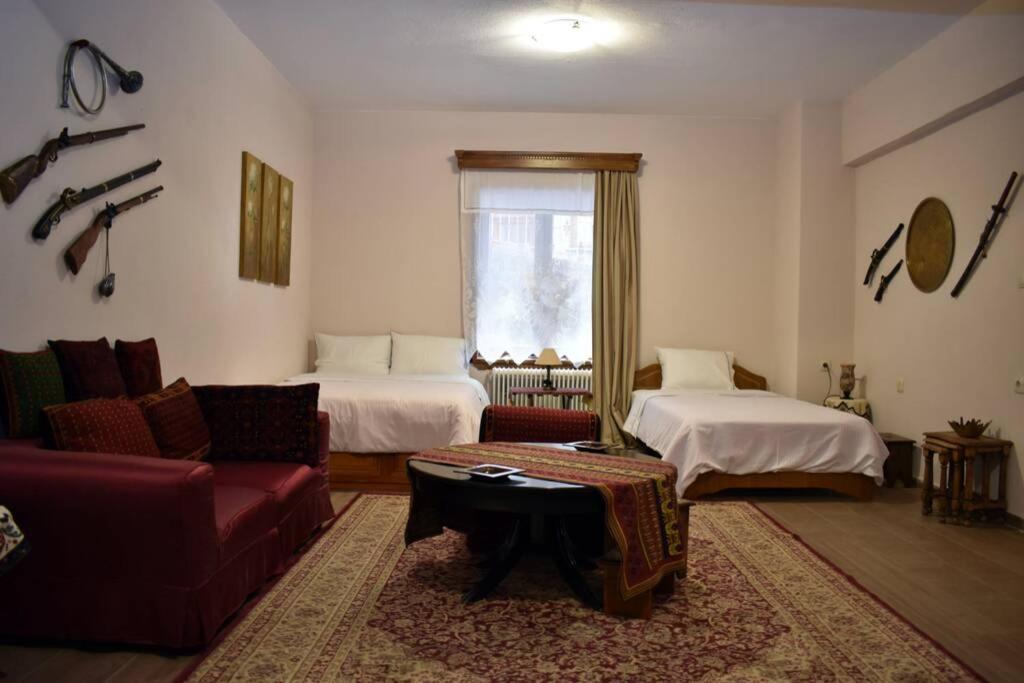 Eufrosini Guesthouse メツォヴォ エクステリア 写真
