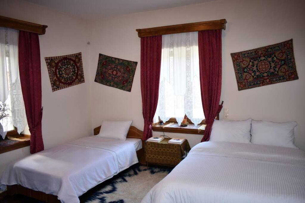 Eufrosini Guesthouse メツォヴォ エクステリア 写真