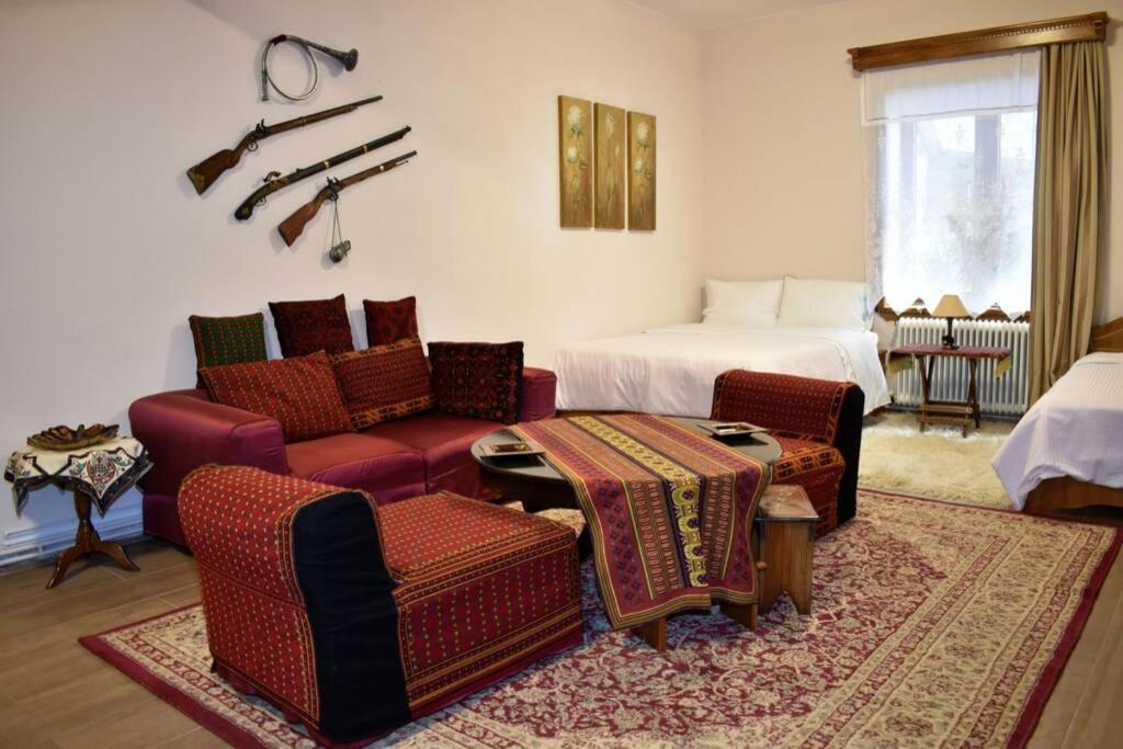 Eufrosini Guesthouse メツォヴォ エクステリア 写真