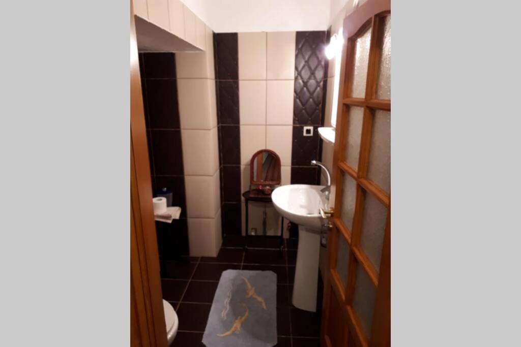 Eufrosini Guesthouse メツォヴォ エクステリア 写真