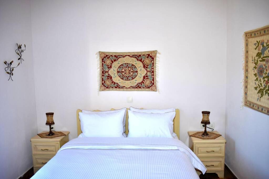 Eufrosini Guesthouse メツォヴォ エクステリア 写真