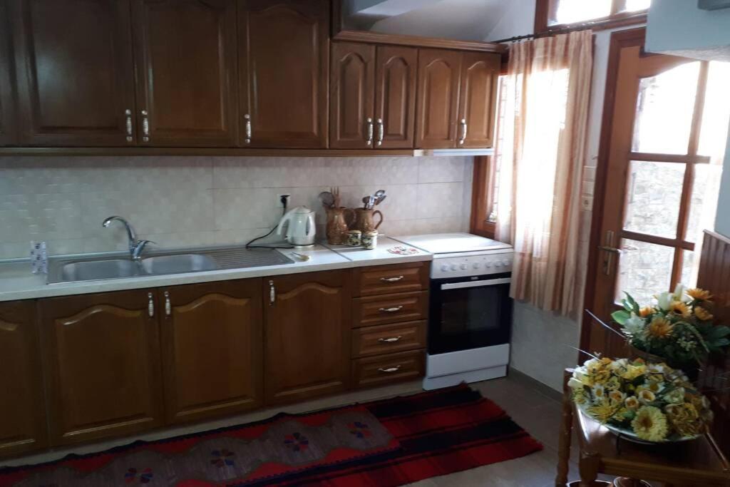Eufrosini Guesthouse メツォヴォ エクステリア 写真