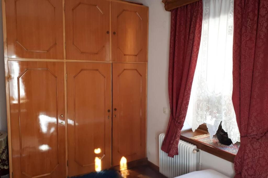 Eufrosini Guesthouse メツォヴォ エクステリア 写真