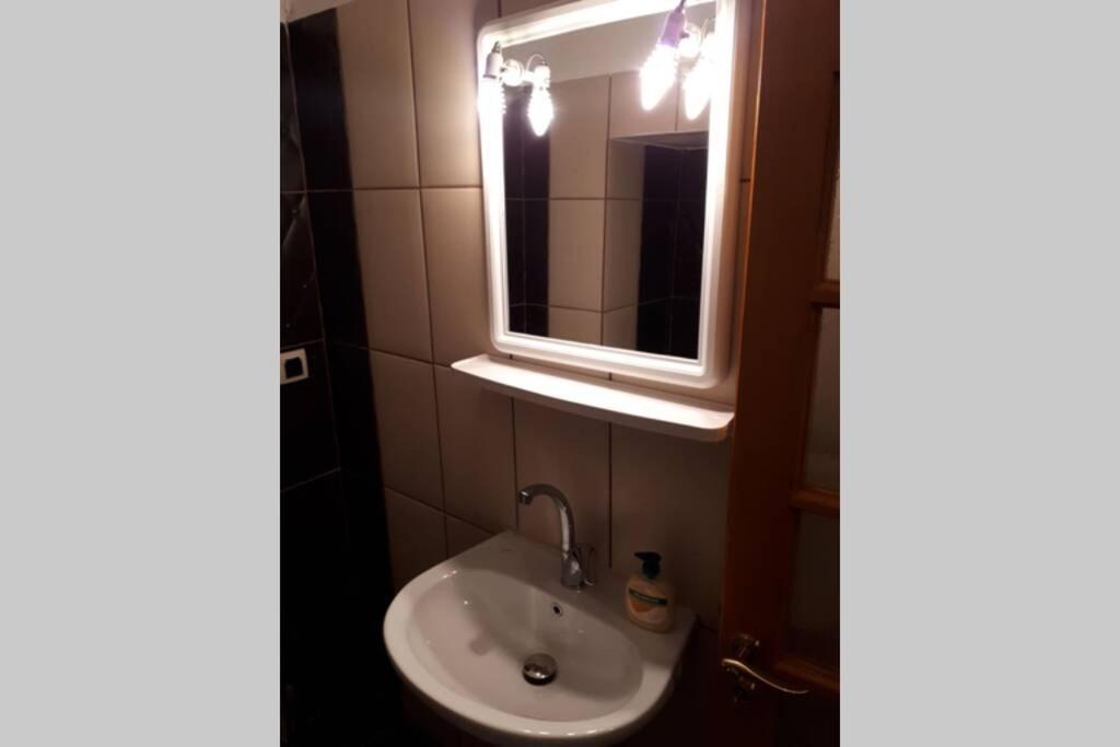 Eufrosini Guesthouse メツォヴォ エクステリア 写真
