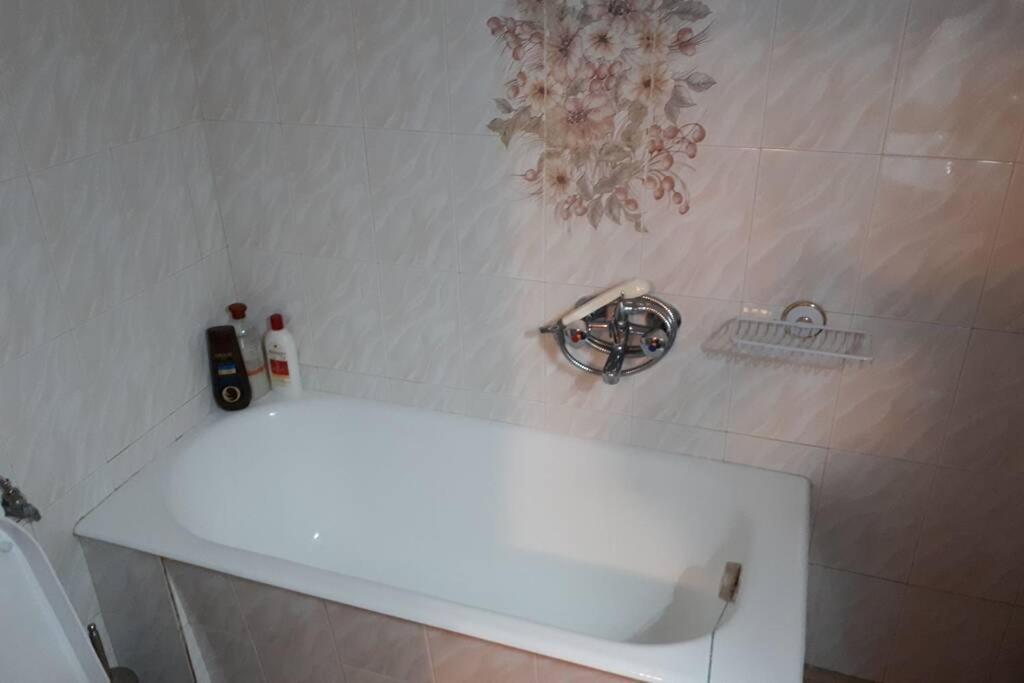 Eufrosini Guesthouse メツォヴォ エクステリア 写真