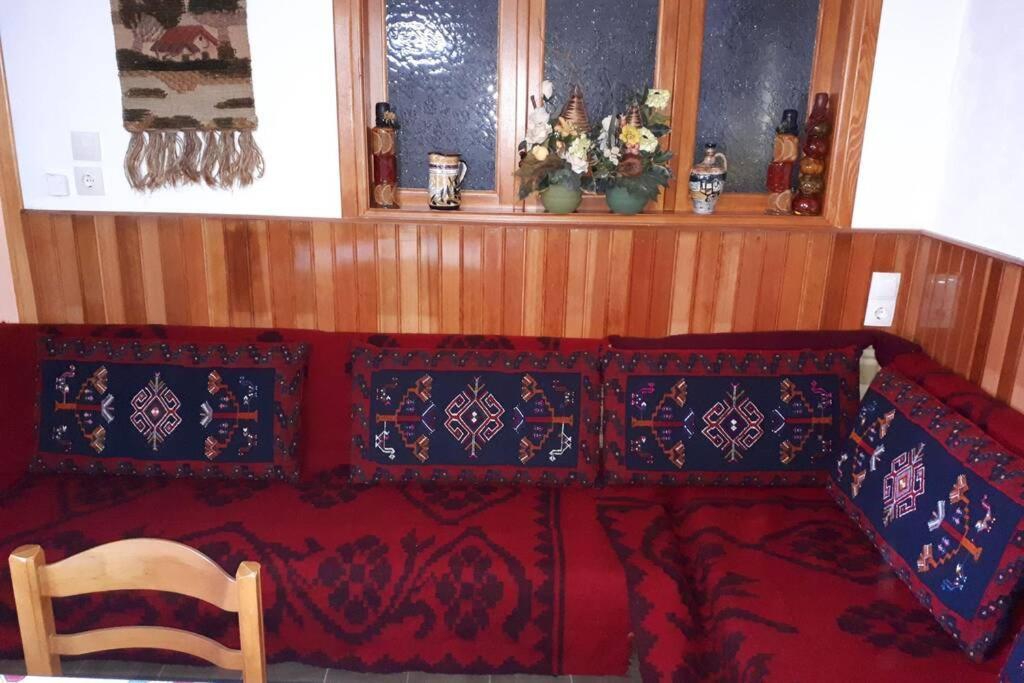 Eufrosini Guesthouse メツォヴォ エクステリア 写真