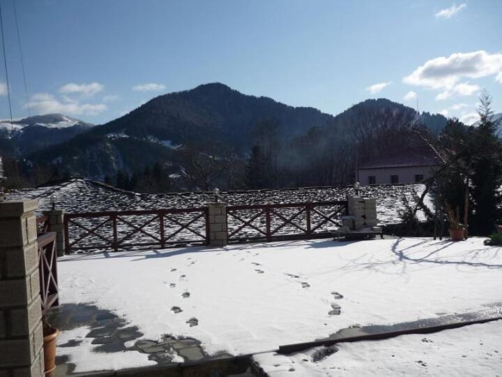 Eufrosini Guesthouse メツォヴォ エクステリア 写真