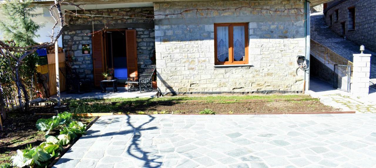 Eufrosini Guesthouse メツォヴォ エクステリア 写真